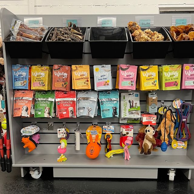 Hest Bank Kennels Pet Boarding Services in Lancaster